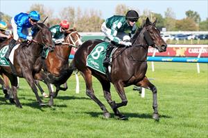 Soft Love, Caulfield 5 April 2025